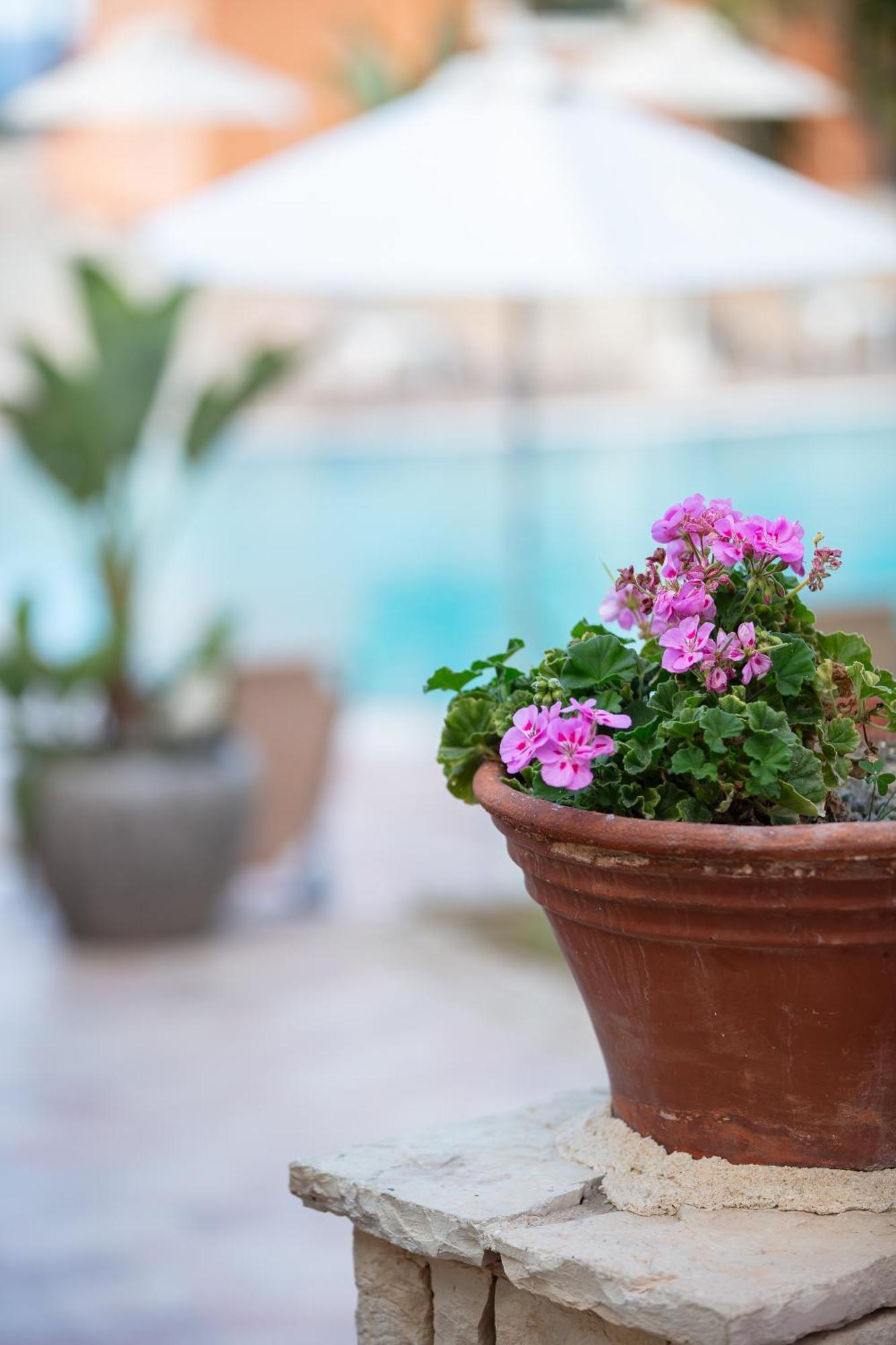 Dia Apartments Hersonissos  Ngoại thất bức ảnh